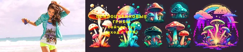 Галлюциногенные грибы MAGIC MUSHROOMS  Избербаш 