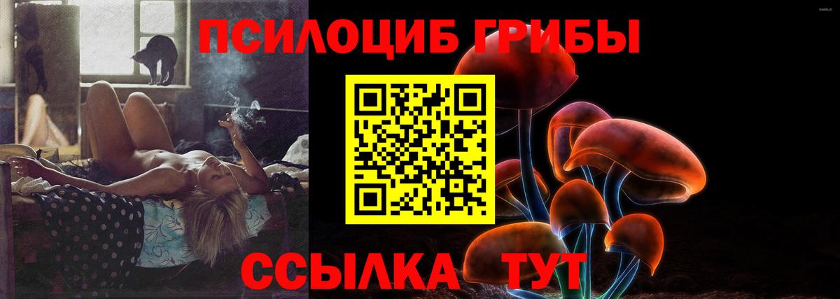 Псилоцибиновые грибы прущие грибы  Избербаш 